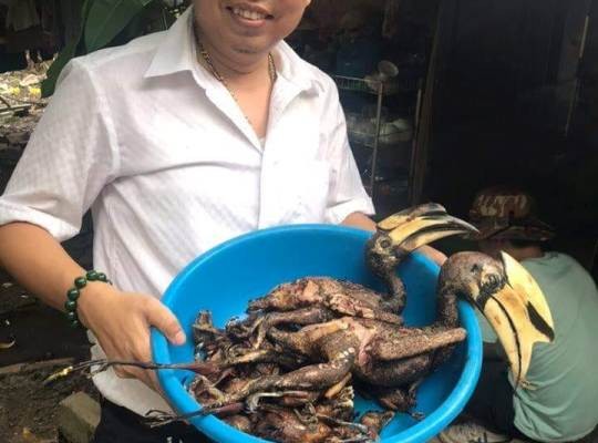 Xác minh thông tin giám đốc doanh nghiệp “thịt” chim quý hiếm - ảnh 1
