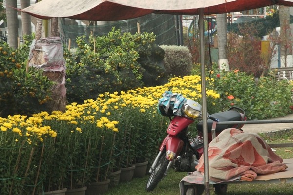 Nhọc nhằn mưu sinh ngày cận tết - ảnh 5