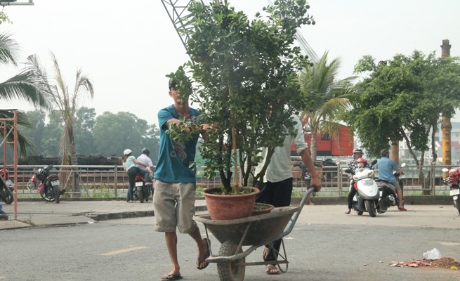 Nhọc nhằn mưu sinh ngày cận tết - ảnh 7