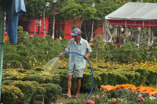 Nhọc nhằn mưu sinh ngày cận tết - ảnh 1