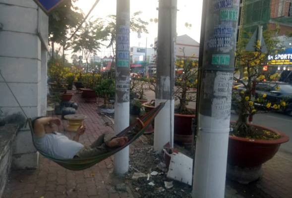 Tiểu thương bán hoa ngày 29 tết: “Buồn… thối ruột” - ảnh 10
