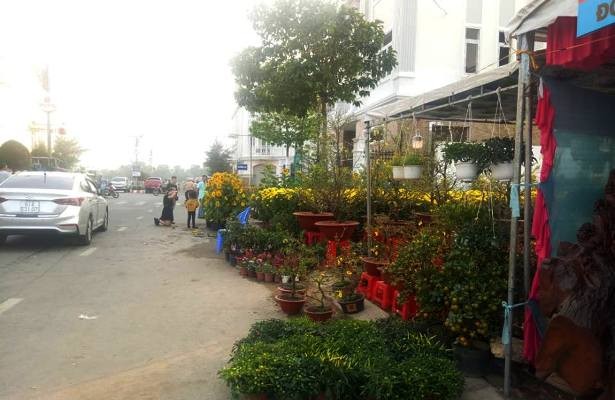 Tiểu thương bán hoa ngày 29 tết: “Buồn… thối ruột” - ảnh 5