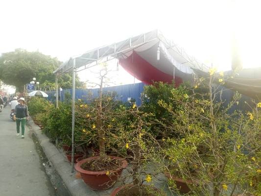 Tiểu thương bán hoa ngày 29 tết: “Buồn… thối ruột” - ảnh 3