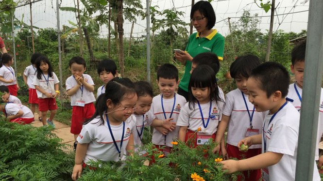Tour thăm nông trại rau hữu cơ - ảnh 1