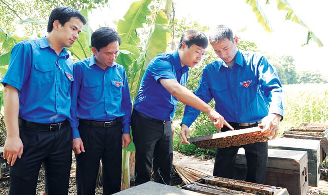 Nhiều mô hình sản xuất cho doanh thu tiền tỷ - ảnh 1