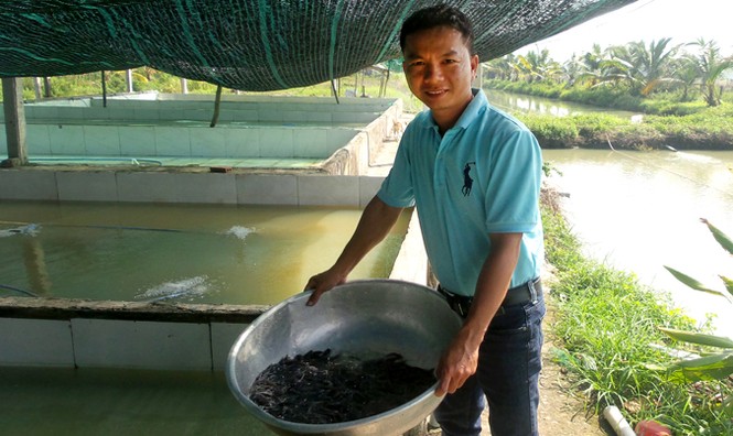 Thu tiền tỷ sau những 'bầm dập' - ảnh 1