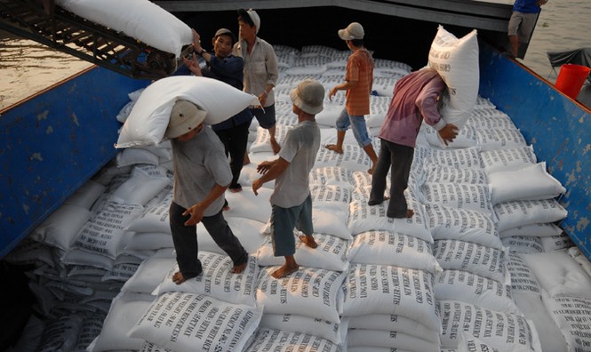 Thương hiệu nông sản Việt xuất khẩu: Bao giờ chính danh? - ảnh 1