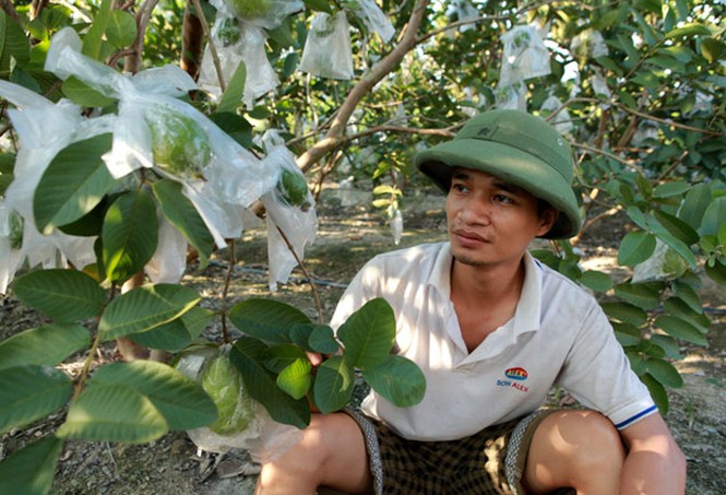 Lệ Rơi chia sẻ tình đời - ảnh 1