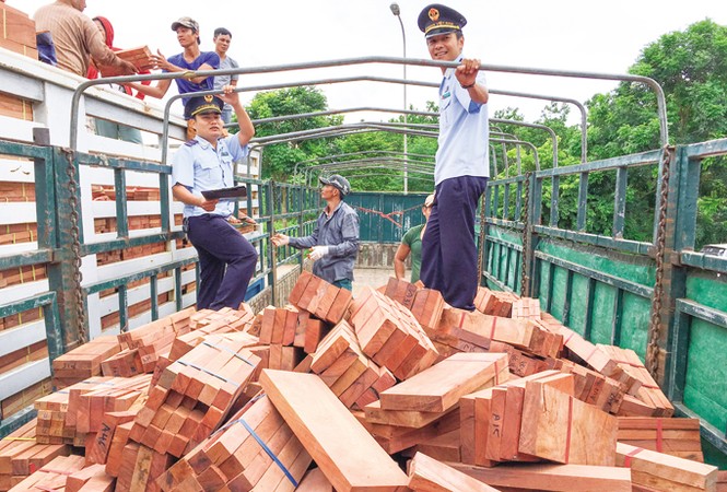Chung tay xây dựng môi trường tự nguyện, chủ động - ảnh 1