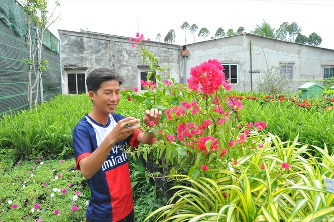 Hoa kiểng khởi nghiệp - ảnh 1