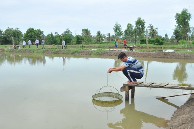 Nghe chuyện thoát nghèo ở quê hương Nam kỳ khởi nghĩa - ảnh 1