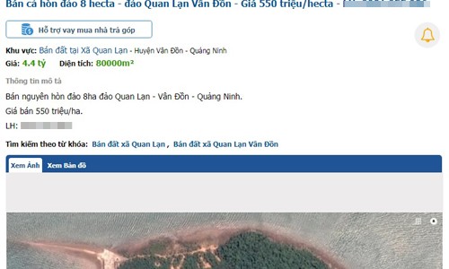 Rao bán đảo, đất rừng tại Vân Đồn - ảnh 1
