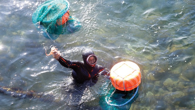 Những thợ lặn đàn bà cuối cùng ở đảo Jeju - ảnh 2