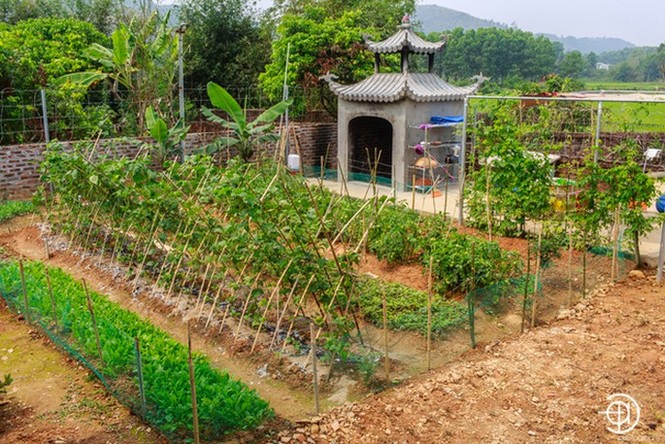 'Soi' nhà của 3 'hoàng tử nhạc đỏ' Trọng Tấn, Việt Hoàn, Đăng Dương - ảnh 12