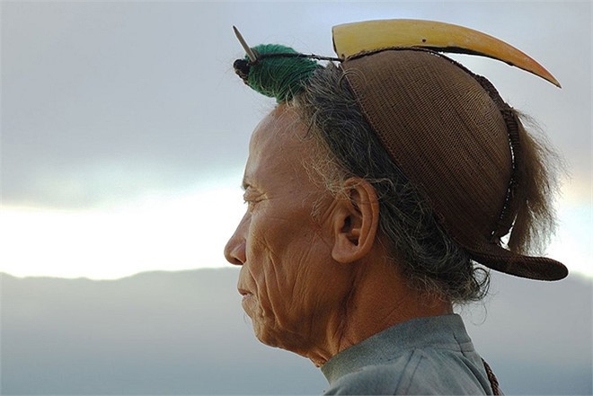 Người ta có thể dễ dàng nhận ra chúng bởi kích thước, trọng lượng cơ thể to lớn, chiếc mỏ to, dài cùng với chiếc sừng rỗng cong bắt mắt.