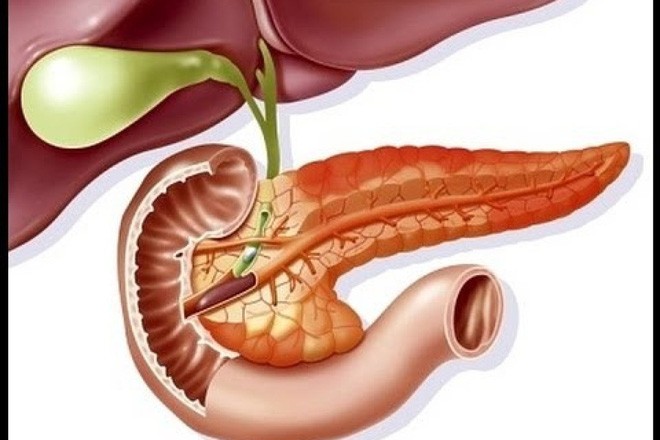 Uống rượu bia thường xuyên: 5 cơ quan nội tạng “bốc hơi” đáng giật mình - ảnh 5