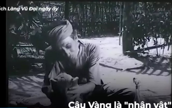 Có vai diễn trong 'Cậu Vàng', Chiến Thắng nói gì về chó Shiba vào vai chính? - ảnh 3