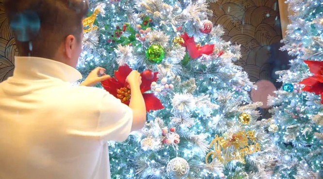 Đàm Vĩnh Hưng gây 'sốt' khi đeo bờm tuần lộc trang trí biệt thự đón Giáng sinh - ảnh 2