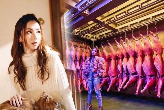 Showbiz 15/2: Quay MV trong lò mổ heo, nữ ca sĩ gây tranh cãi - ảnh 1