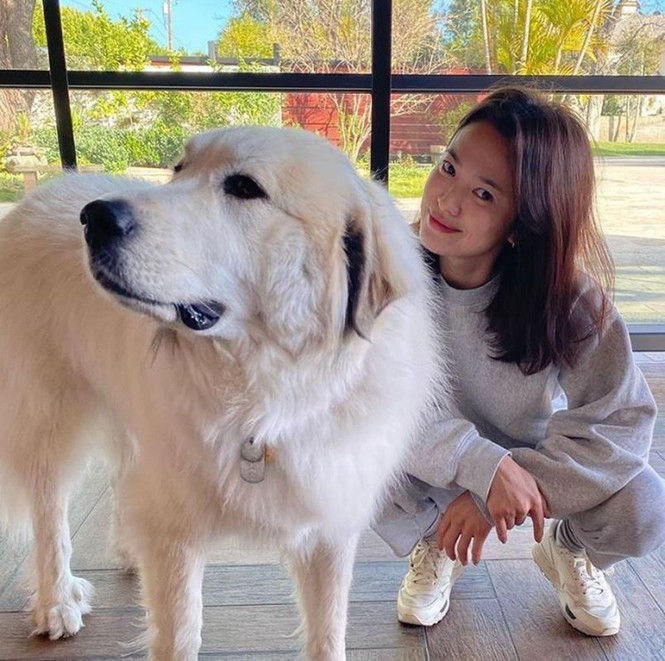 Showbiz 23/3: Phản ứng bất ngờ của diễn viên 'Đừng bắt em phải quên' khi phim ngừng chiếu - ảnh 4