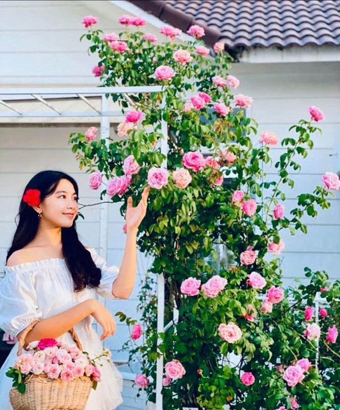 Bất ngờ về khu vườn 'trong mơ' trên sân thượng của gia đình Quyền Linh - ảnh 11