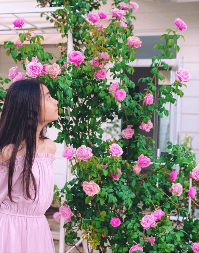 Bất ngờ về khu vườn 'trong mơ' trên sân thượng của gia đình Quyền Linh - ảnh 10