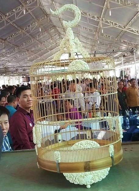 Mốt lồng son cho chim quý ở TPHCM - ảnh 1