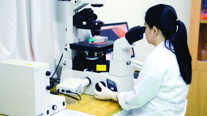 Vượt qua những biên giới sáng tạo - ảnh 2