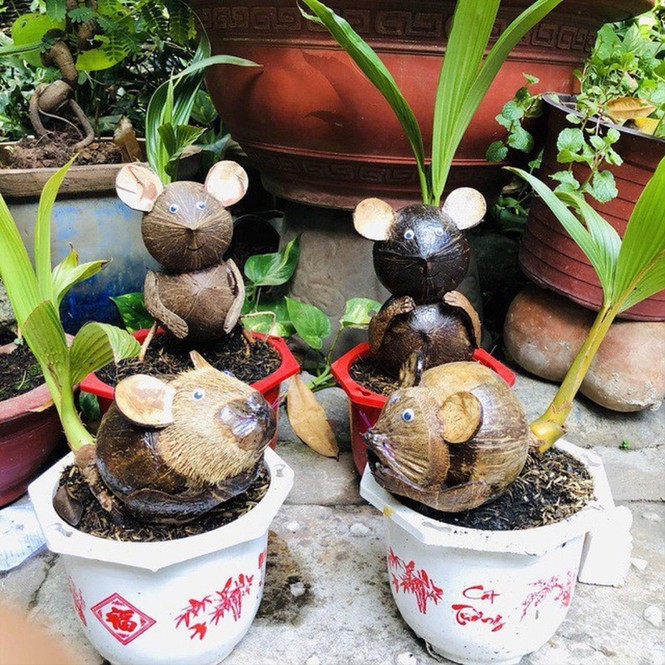 Quà tết độc lạ - ảnh 2