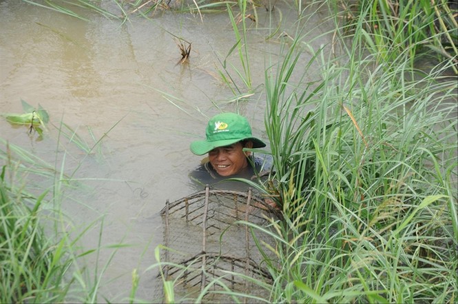 Thăng trầm mùa nước nổi - ảnh 2
