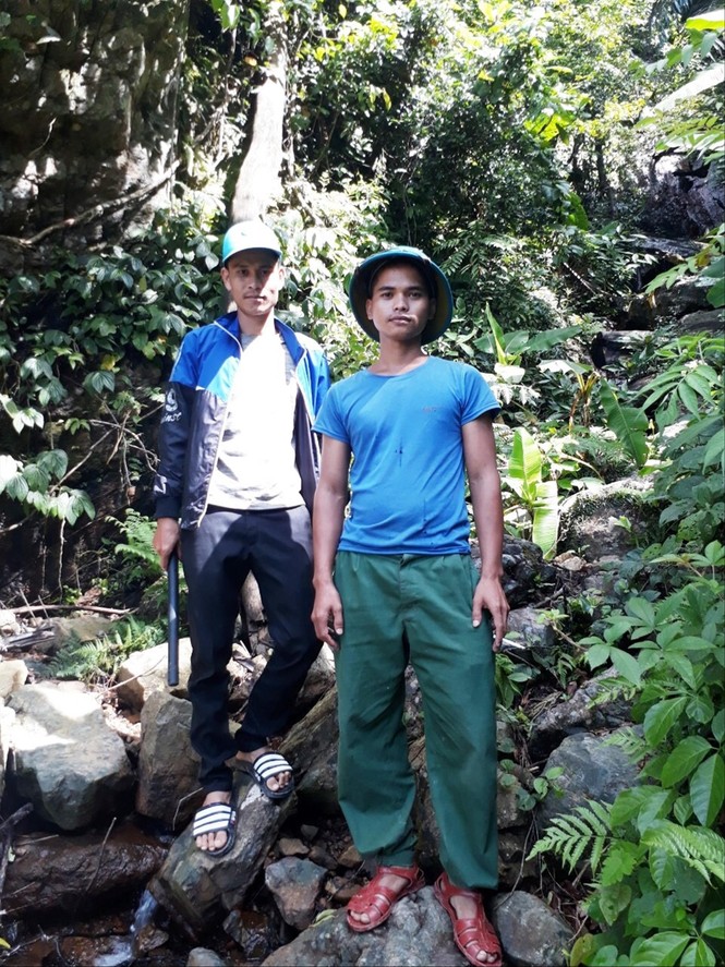 Quay đầu là rừng... - ảnh 1