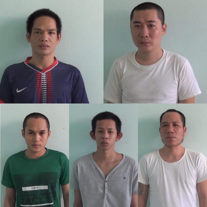 Băng trộm liên tỉnh miền Tây và Đông Nam bộ sa lưới - ảnh 1