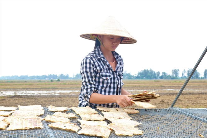 Độc đáo khô cá sấu ở An Giang - ảnh 1