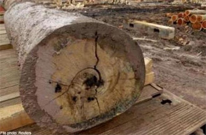 Cảnh sát Bangladesh đã bắt giữ một hiệu trưởng sau khi ông này có hành động nhẫn tâm, trói một nam sinh 10 tuổi vào gốc cây to suốt 2 ngày trời