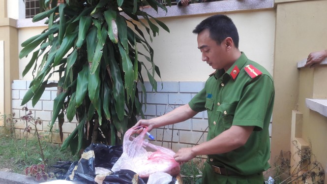 1,5 tấn sụn chân gà nhập lậu bốc mùi thối bị phát hiện ở biên giới Lao Bảo - ảnh 1