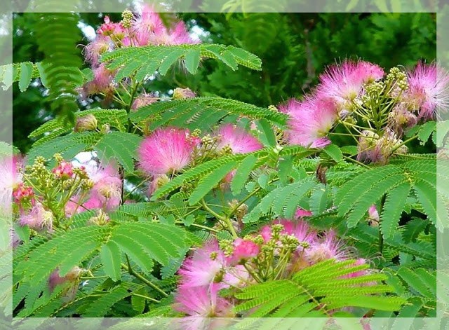 Sớm nhận biết các dấu hiệu của suy nhược thần kinh - ảnh 1