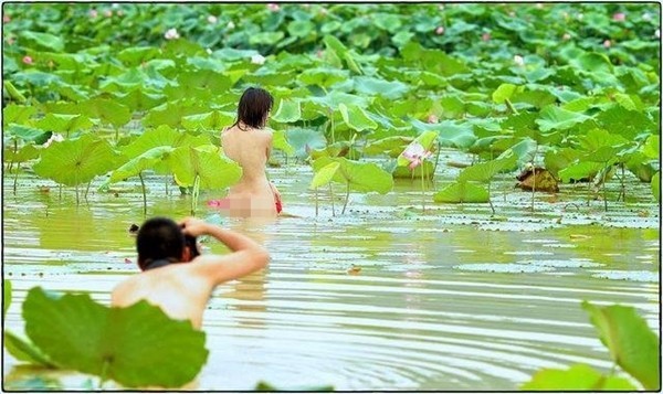 Áo yếm thả rông ăn đầy... gạch đá - ảnh 1