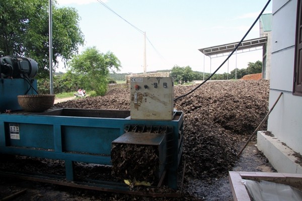Bí ẩn người đầu cơ cả trăm tấn lá vải cho nước ngoài - ảnh 2
