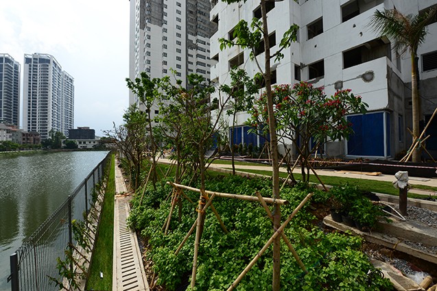 Miễn phí dịch vụ 5 năm khi sở hữu căn hộ cao cấp Mulberry Lane - ảnh 3