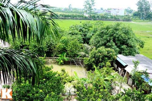 Nhà vườn rộng 10.000 m2 của diễn viên hài Giang 'Còi' - ảnh 16