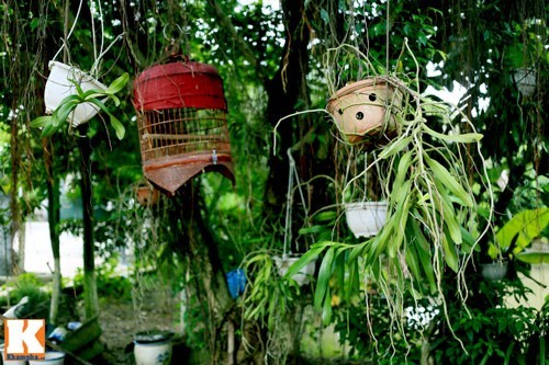 Nhà vườn rộng 10.000 m2 của diễn viên hài Giang 'Còi' - ảnh 18