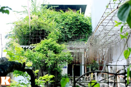 Nhà vườn rộng 10.000 m2 của diễn viên hài Giang 'Còi' - ảnh 1