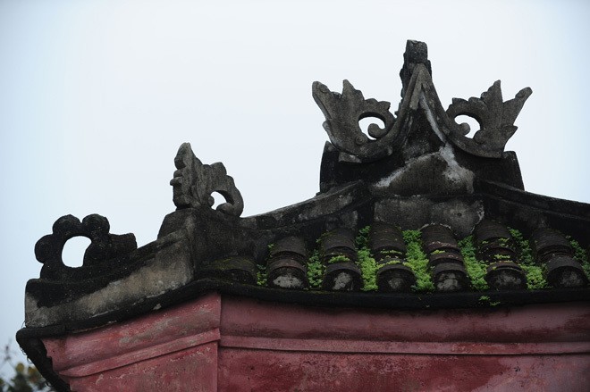 Những ngôi nhà mái rêu ở Hội An - ảnh 5
