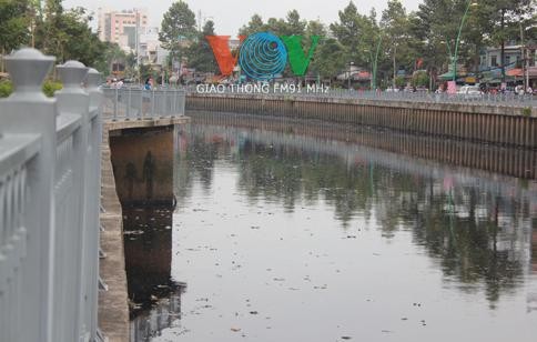 TPHCM: Cá chết trắng trên kênh Nhiều Lộc – Thị Nghè - ảnh 1