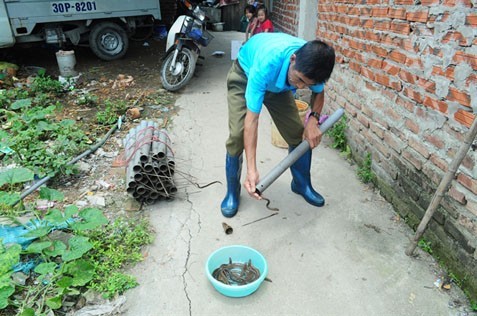 Bắt lươn giữa các cao ốc ở Hà Nội - ảnh 2
