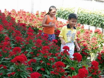 Tiết xuân nên cẩn trọng bệnh hen ở trẻ em - ảnh 1