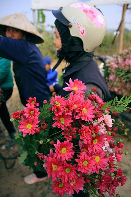6 chợ hoa Tết nổi tiếng của Hà Nội - ảnh 1
