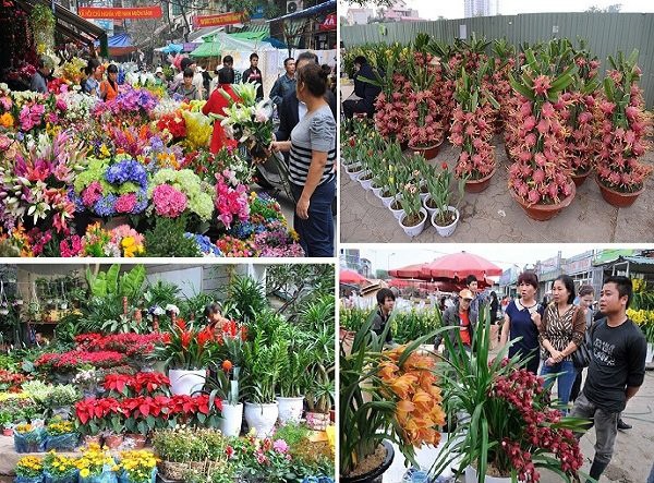 6 chợ hoa Tết nổi tiếng của Hà Nội - ảnh 4