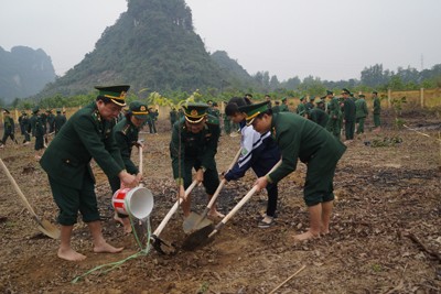 Chiến sĩ biên phòng trồng hàng nghìn cây bảo vệ chủ quyền - ảnh 2