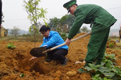 Chiến sĩ biên phòng trồng hàng nghìn cây bảo vệ chủ quyền - ảnh 4